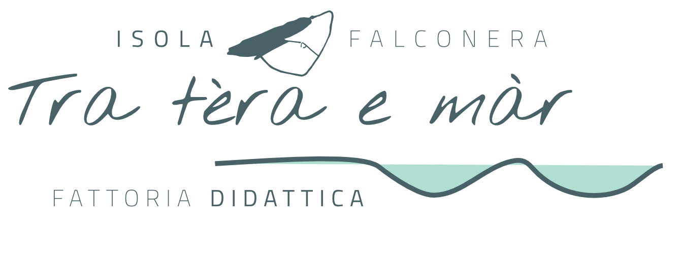 Falconera Fattoria Didattica Logo